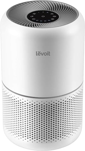 Best Air Purifier for Home Gym