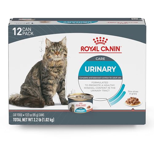 Best Canned Cat Food for Urinary Health