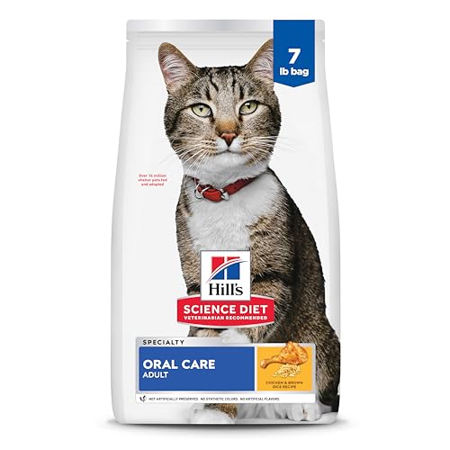 Best Cat Food for Dental Health