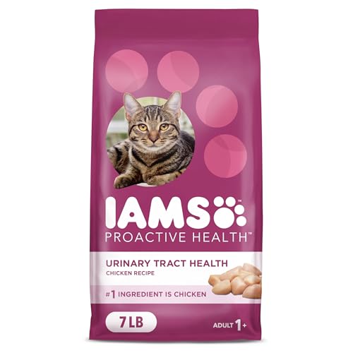 Best Cat Food for Urinary Health
