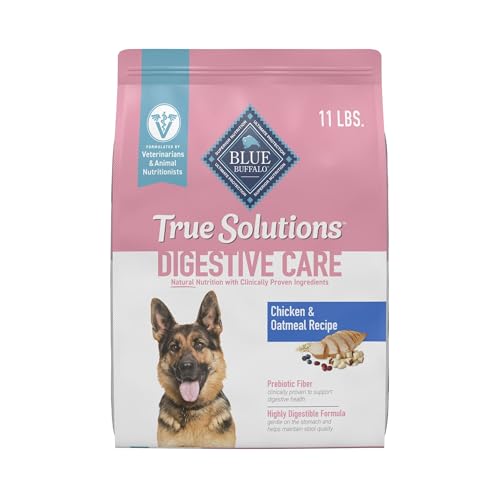Best Dog Food for Digestive Health