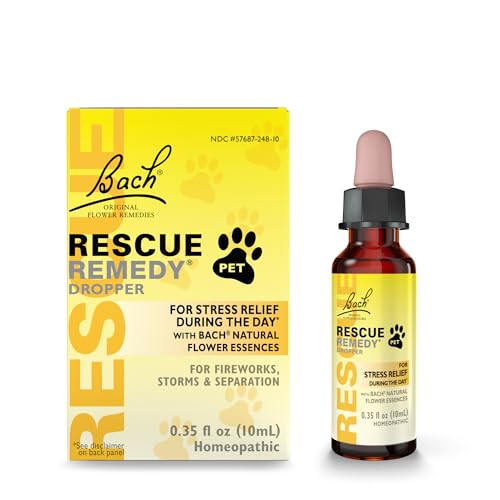 Best Natural Remedies for Pet Health