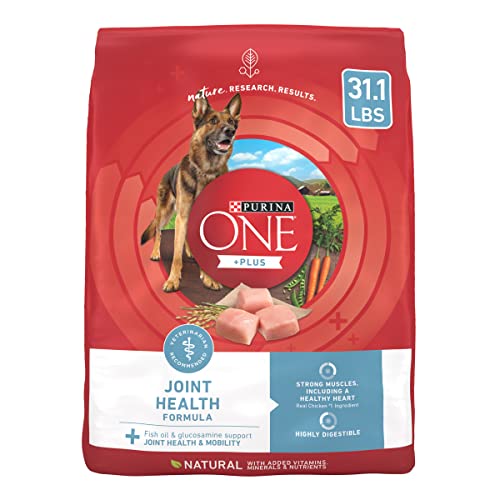 Best Senior Dog Food for Joint Health