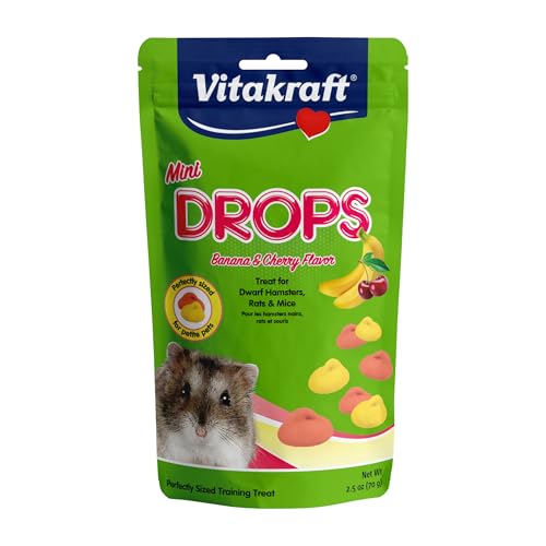 Best Snacks for Gym Rats