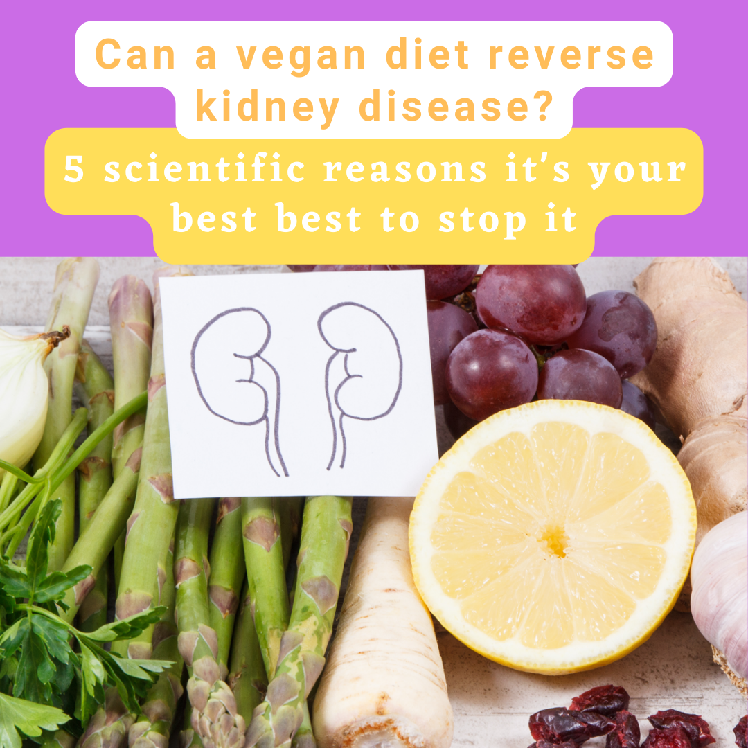 Can Vegan Diet Reverse Kidney Disease