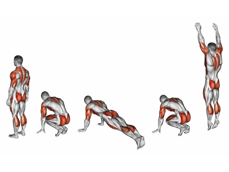 Do Burpees Build Muscle