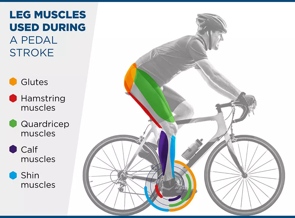 Does Cycling Build Muscle