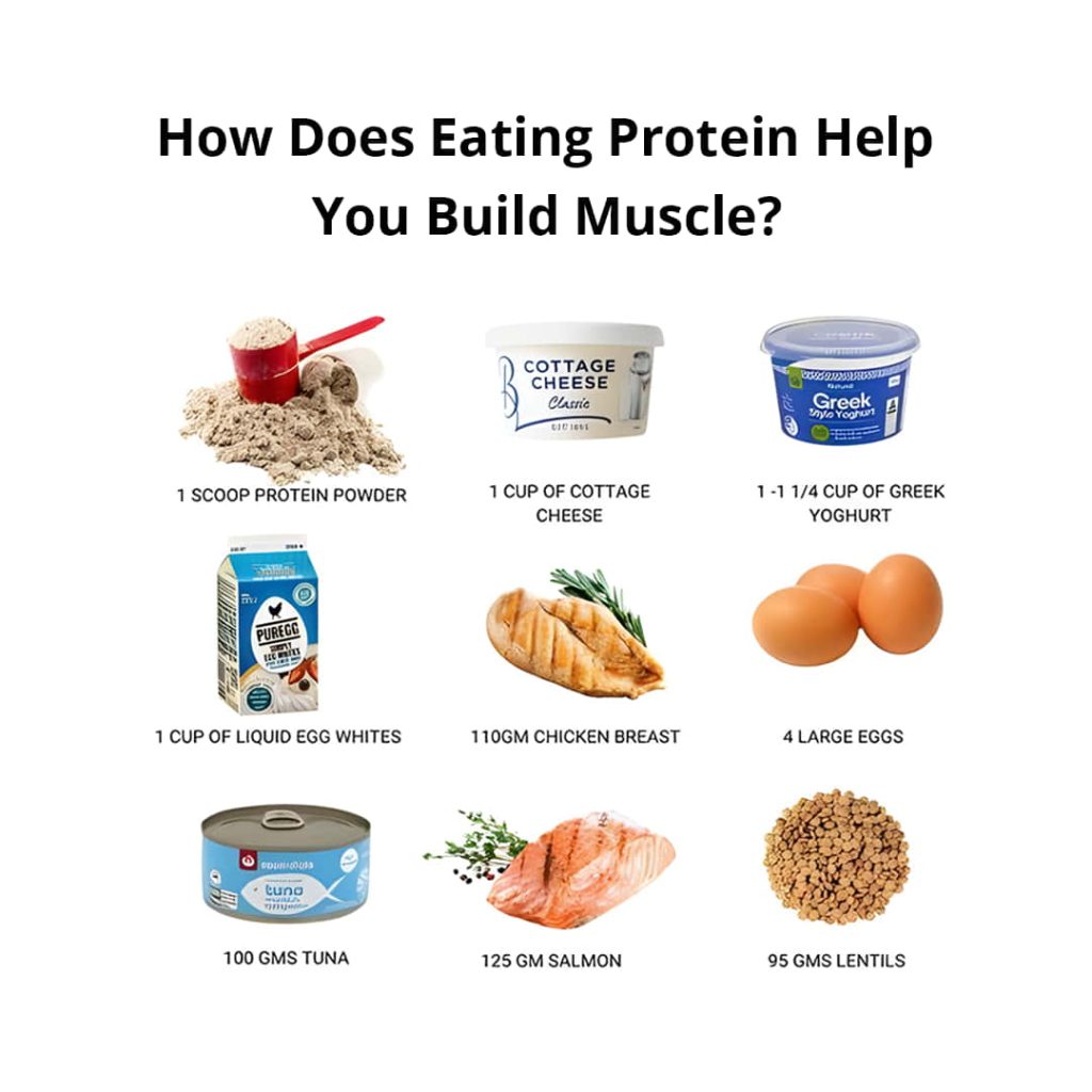 Does Protein Help Build Muscle