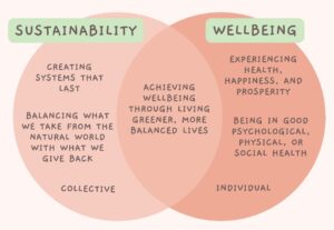 Environmental Wellness Examples