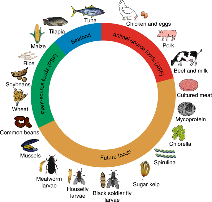 How Future Diet