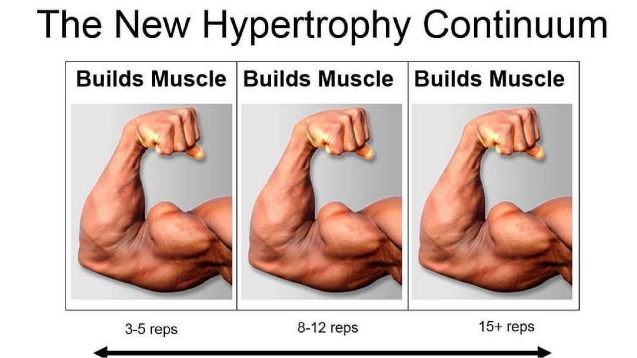 How Many Reps Should I Do to Build Muscle