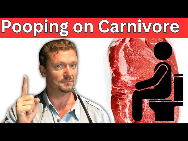 How to Poop on Carnivore Diet