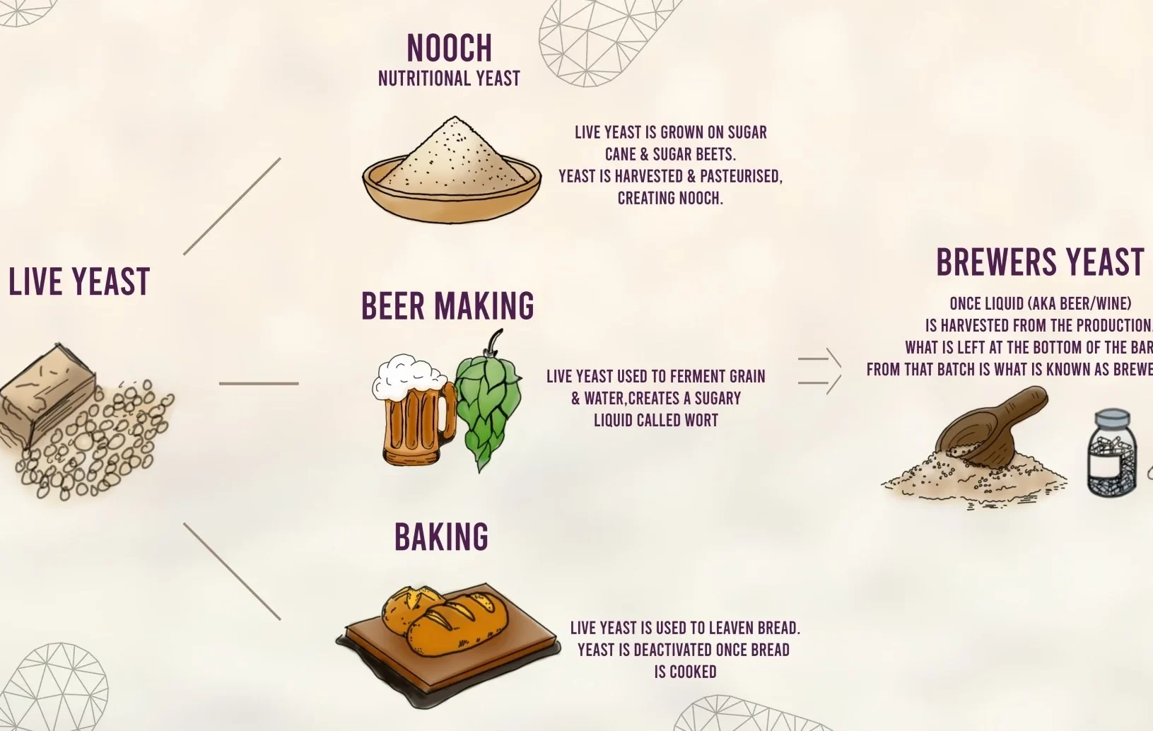 How to Use Nutritional Yeast to Make Bread