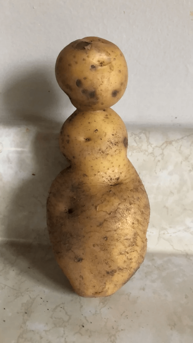 Potato Human