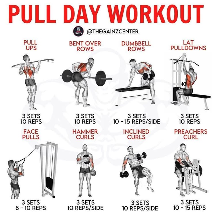 What is Pull Day at the Gym
