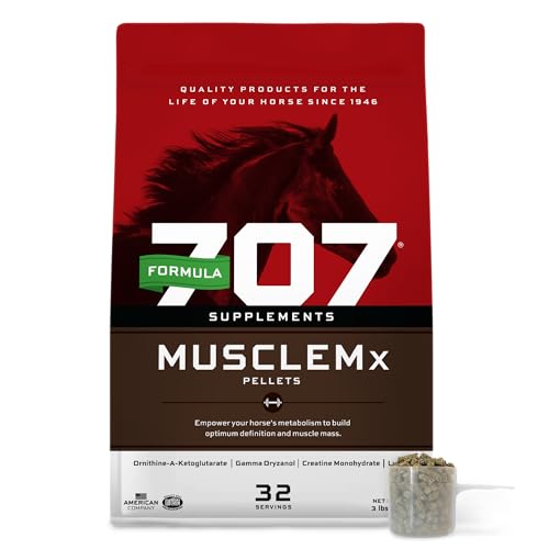 What is the Best Muscle Builder for Horses