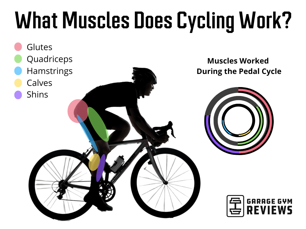 What Muscles Does Biking Build