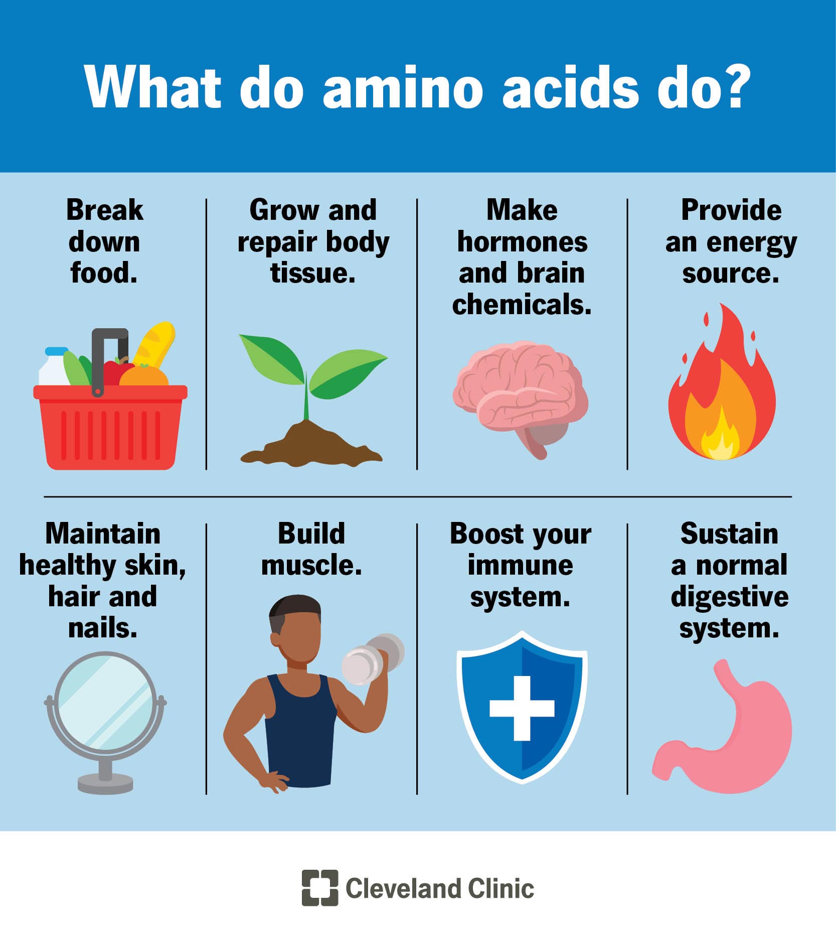 Will Amino Acids Help Build Muscle